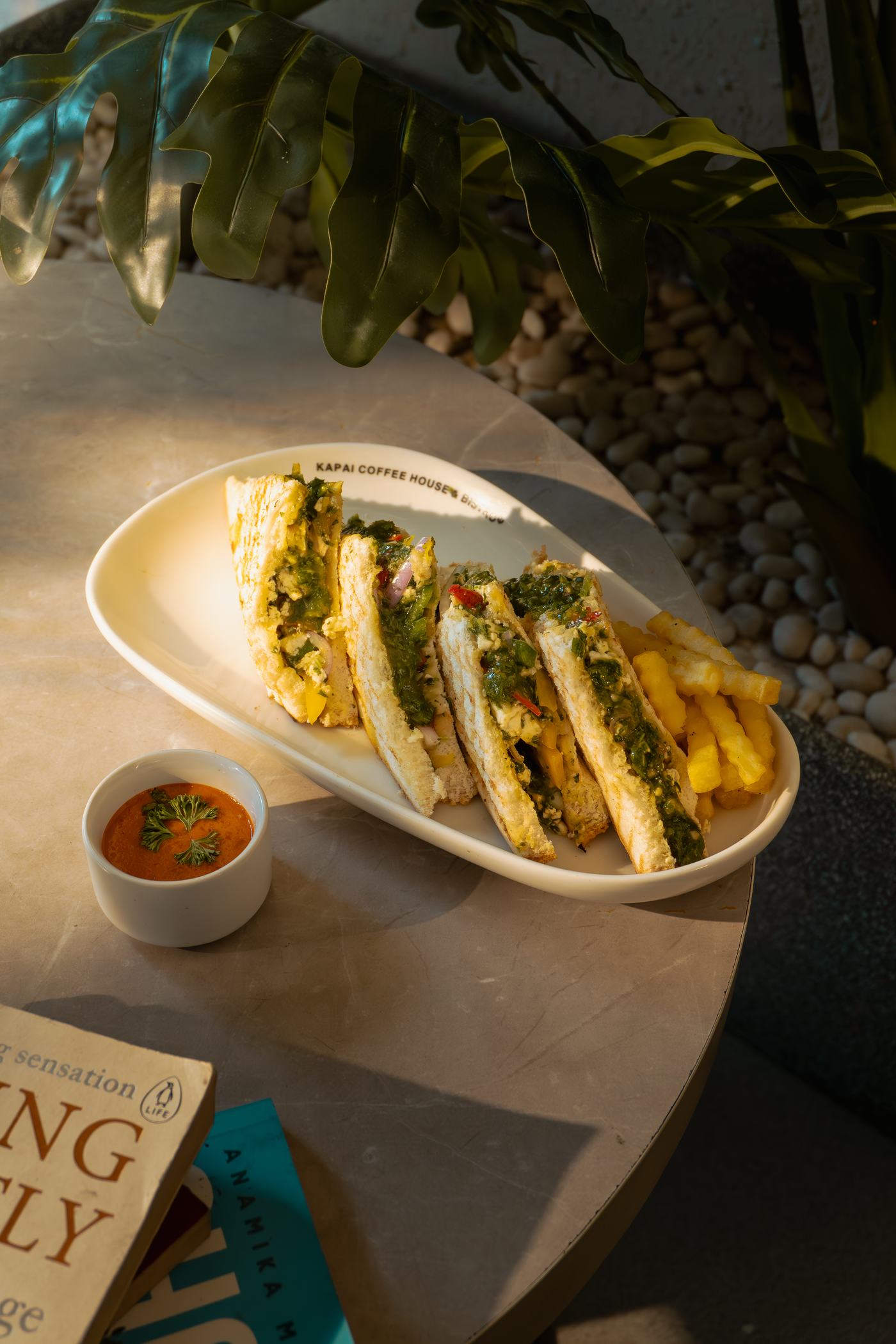 Mexican Paneer